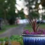 Pukinsaaren Campingplads