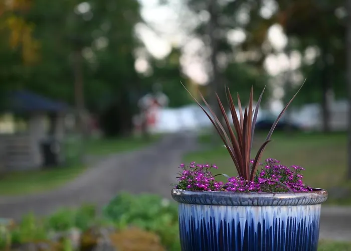 Pukinsaaren Кемпинг